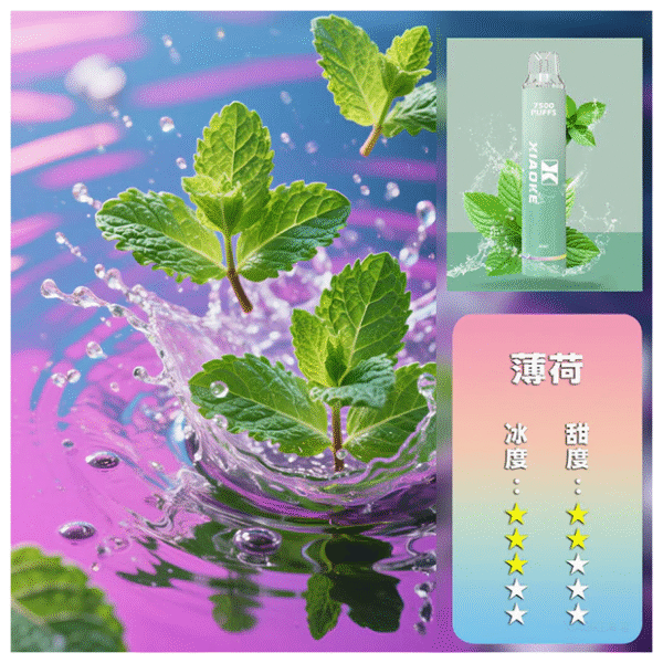 XIAOKE梟客電子煙拋棄式7500口炫酷發光設計【薄荷】