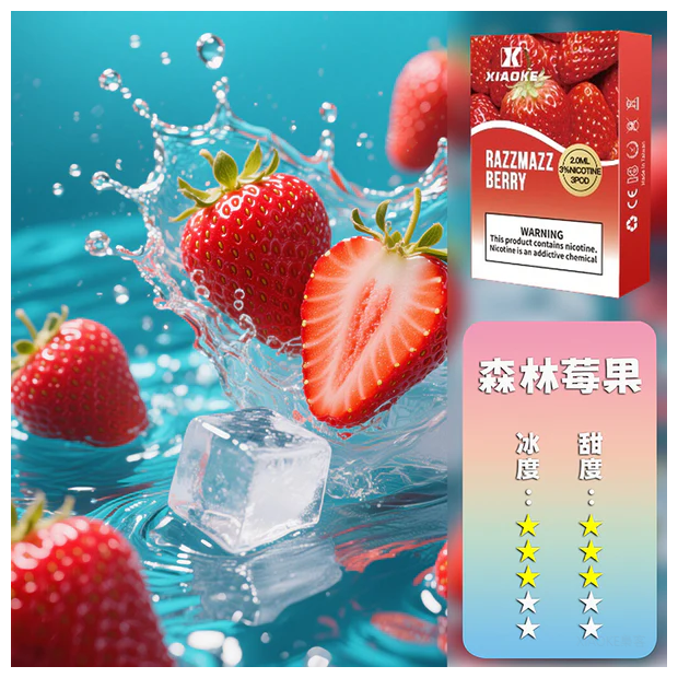 XIAOKE梟客電子煙一代菸彈3顆入【森林莓果】適配一代主機