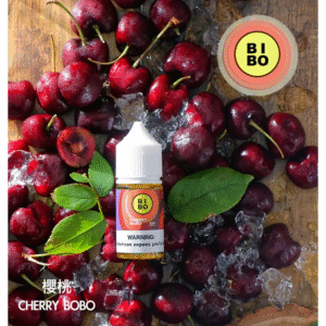 BIBO電子煙經典系列主機小煙油30ML台灣現貨現發