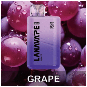 Lana拉娜拋棄式一次性電子煙|Lana Bar BC6000 Puffs|葡萄